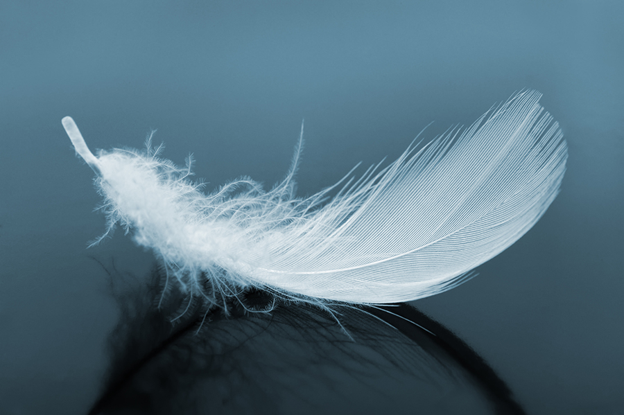 מה אם להיות חשוף זה להיות בעוצמה שלך? 1 feather