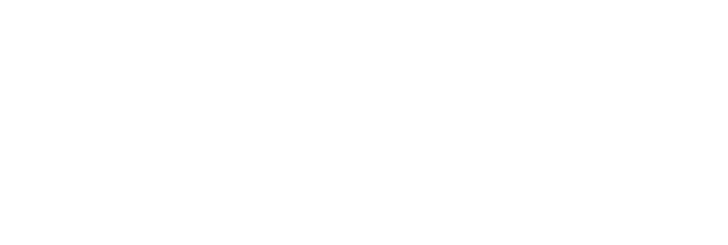 10 12 10 אראלה שפי