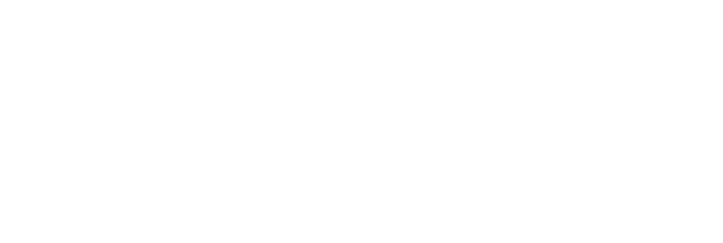 10 12 11 אראלה שפי