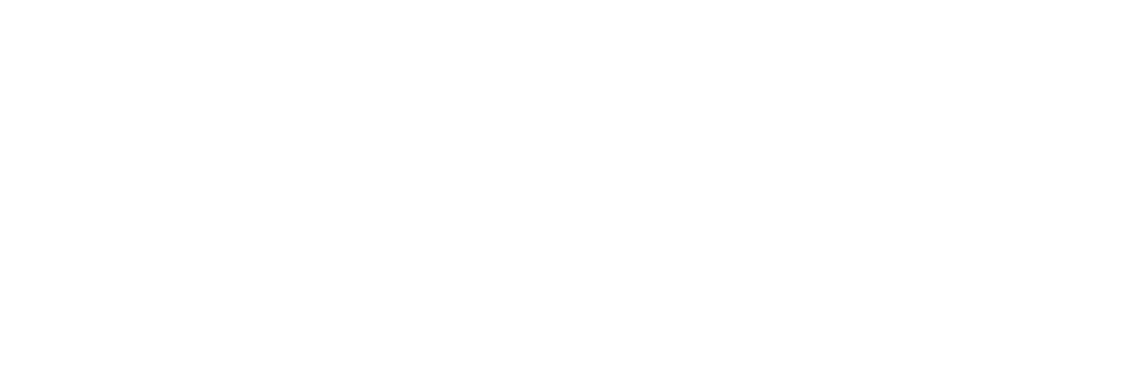 10 12 12 אראלה שפי