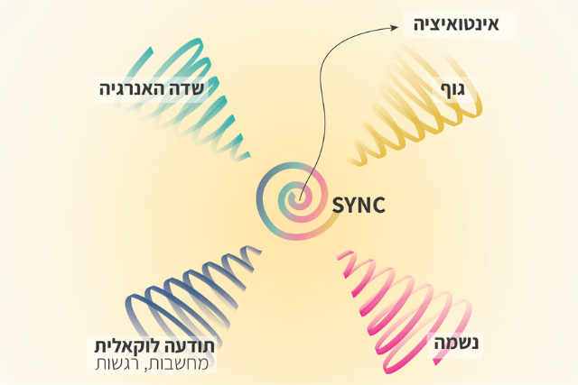 מודול 2- הכשרת מטפלים מחוללי אפשרויות 14 model תרפיית השדה