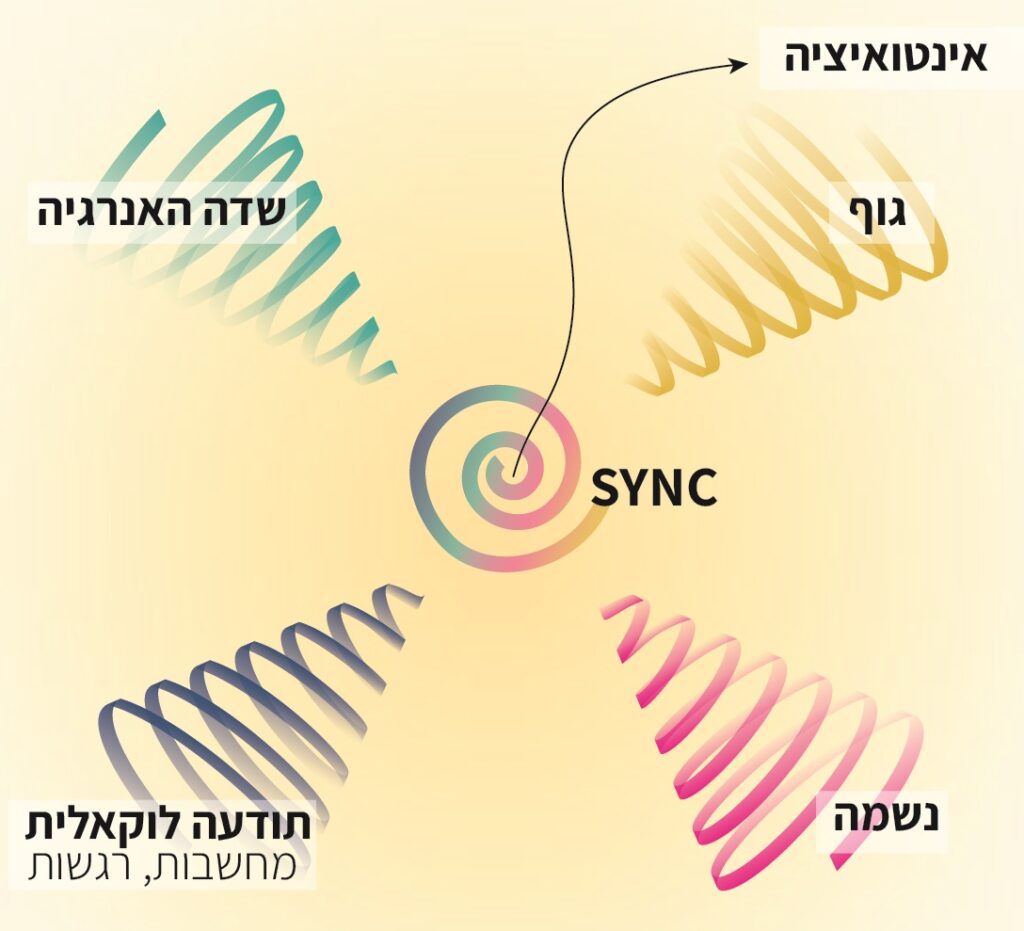 מודול 1-Becoming the Bigger You 4 מחוללים מרובע לימודי תודעה למטפלים